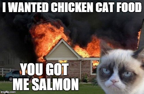 I like salmon... | I WANTED CHICKEN CAT FOOD YOU GOT ME SALMON | image tagged in memes,burn kitty | made w/ Imgflip meme maker