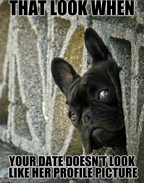 Uh Oh | THAT LOOK WHEN YOUR DATE DOESN'T LOOK LIKE HER PROFILE PICTURE | image tagged in dog,date,memes,funny memes,internet | made w/ Imgflip meme maker