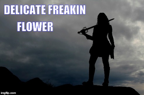 Delicate Freakin Flower | DELICATE FREAKIN FLOWER | image tagged in warrior woman,kick-ass,strong women | made w/ Imgflip meme maker