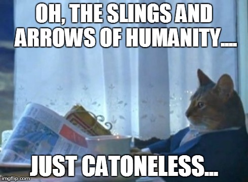 I Should Buy A Boat Cat Meme | OH, THE SLINGS AND ARROWS OF HUMANITY.... JUST CATONELESS... | image tagged in memes,i should buy a boat cat | made w/ Imgflip meme maker