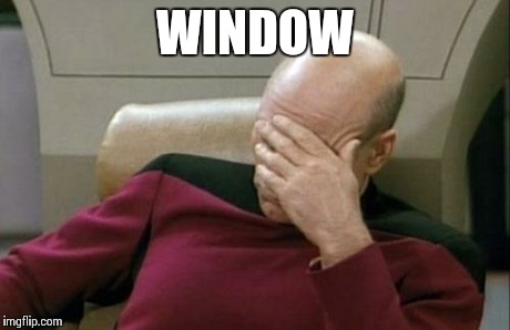 Captain Picard Facepalm Meme | WINDOW | image tagged in memes,captain picard facepalm | made w/ Imgflip meme maker