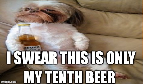 I SWEAR THIS IS ONLY MY TENTH BEER | image tagged in dog,beer | made w/ Imgflip meme maker
