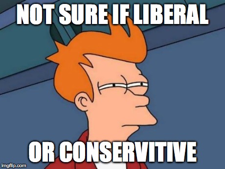 Futurama Fry Meme | NOT SURE IF LIBERAL OR CONSERVITIVE | image tagged in memes,futurama fry | made w/ Imgflip meme maker