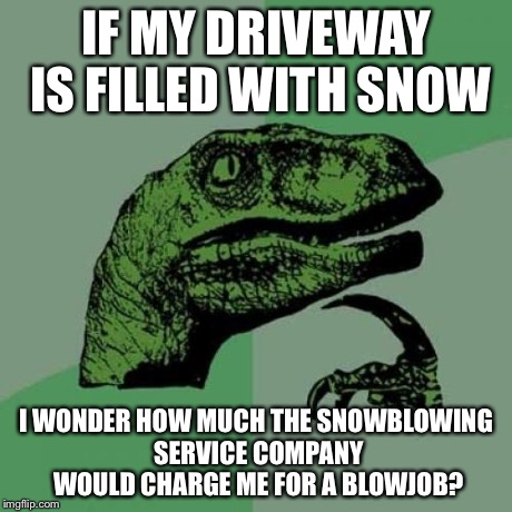 Philosoraptor Meme | IF MY DRIVEWAY IS FILLED WITH SNOW I WONDER HOW MUCH THE SNOWBLOWING SERVICE COMPANY WOULD CHARGE ME FOR A BL***OB? | image tagged in memes,philosoraptor | made w/ Imgflip meme maker