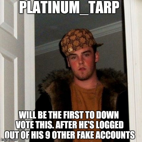 Dislikes all of them because no one likes his memes | PLATINUM_TARP WILL BE THE FIRST TO DOWN VOTE THIS. AFTER HE'S LOGGED OUT OF HIS 9 OTHER FAKE ACCOUNTS | image tagged in memes,scumbag steve | made w/ Imgflip meme maker