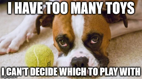 I HAVE TOO MANY TOYS I CAN'T DECIDE WHICH TO PLAY WITH | image tagged in first world dog | made w/ Imgflip meme maker