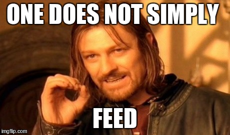 One Does Not Simply | ONE DOES NOT SIMPLY FEED | image tagged in memes,one does not simply | made w/ Imgflip meme maker