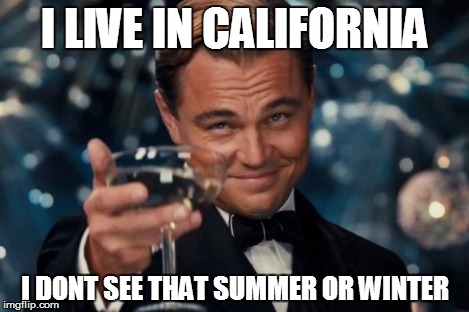 Leonardo Dicaprio Cheers Meme | I LIVE IN CALIFORNIA I DONT SEE THAT SUMMER OR WINTER | image tagged in memes,leonardo dicaprio cheers | made w/ Imgflip meme maker