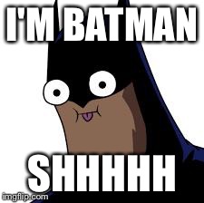 batman derp | I'M BATMAN SHHHHH | image tagged in batman derp | made w/ Imgflip meme maker