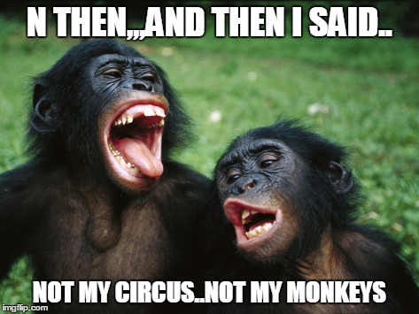 Bonobo Lyfe Meme | N THEN,,,AND THEN I SAID.. NOT MY CIRCUS..NOT MY MONKEYS | image tagged in memes,bonobo lyfe,animals | made w/ Imgflip meme maker