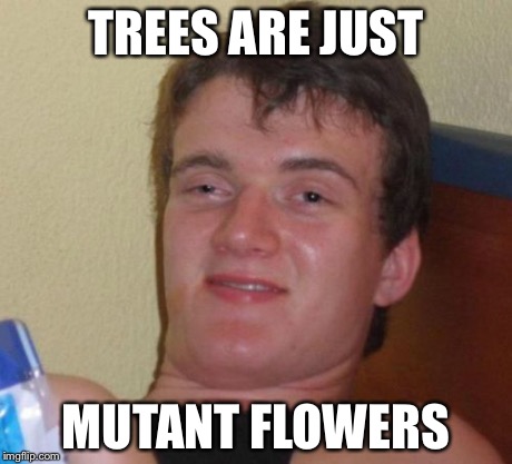 10 Guy Meme | TREES ARE JUST MUTANT FLOWERS | image tagged in memes,10 guy | made w/ Imgflip meme maker