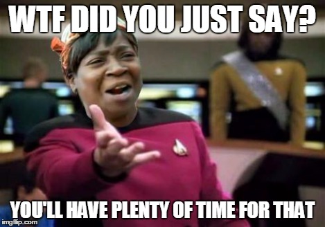 WTF ain't nobody got time | WTF DID YOU JUST SAY? YOU'LL HAVE PLENTY OF TIME FOR THAT | image tagged in wtf ain't nobody got time | made w/ Imgflip meme maker