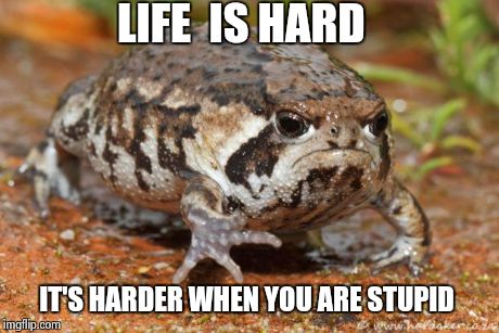 Grumpy Toad | LIFE  IS HARD IT'S HARDER WHEN YOU ARE STUPID | image tagged in memes,grumpy toad | made w/ Imgflip meme maker