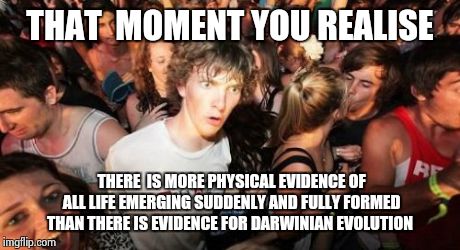 Sudden Clarity Clarence | THAT  MOMENT YOU REALISE THERE  IS MORE PHYSICAL EVIDENCE OF ALL LIFE EMERGING SUDDENLY AND FULLY FORMED THAN THERE IS EVIDENCE FOR DARWINIA | image tagged in memes,sudden clarity clarence | made w/ Imgflip meme maker