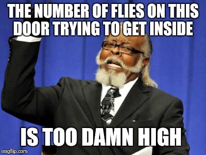 Too Damn High Meme | THE NUMBER OF FLIES ON THIS DOOR TRYING TO GET INSIDE IS TOO DAMN HIGH | image tagged in memes,too damn high | made w/ Imgflip meme maker