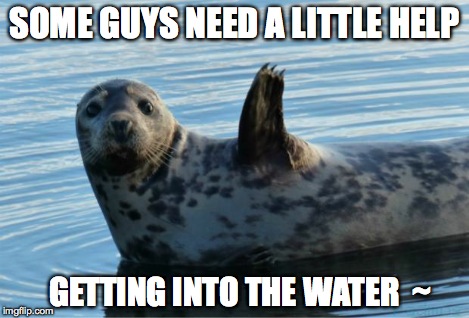 SOME GUYS NEED A LITTLE HELP GETTING INTO THE WATER  ~ | image tagged in seal | made w/ Imgflip meme maker