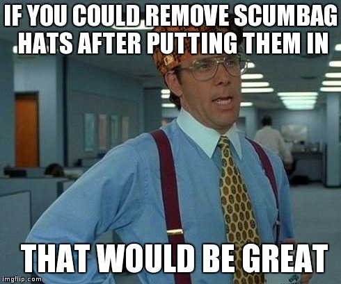 I put it in, then it just won't get down | IF YOU COULD REMOVE SCUMBAG HATS AFTER PUTTING THEM IN THAT WOULD BE GREAT | image tagged in memes,that would be great,scumbag | made w/ Imgflip meme maker