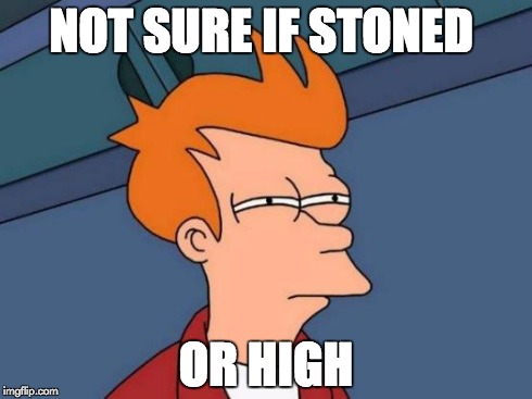 Happy 4 20 Everyone | NOT SURE IF STONED OR HIGH | image tagged in memes,futurama fry | made w/ Imgflip meme maker
