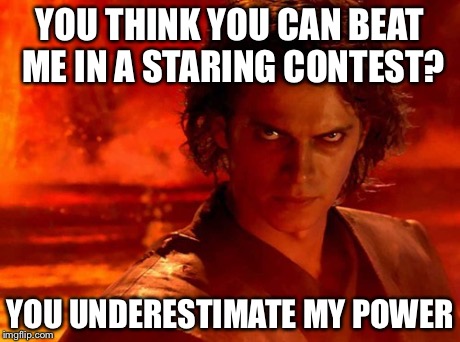 You Underestimate My Power Meme | YOU THINK YOU CAN BEAT ME IN A STARING CONTEST? YOU UNDERESTIMATE MY POWER | image tagged in memes,you underestimate my power,staring,funny,star wars | made w/ Imgflip meme maker