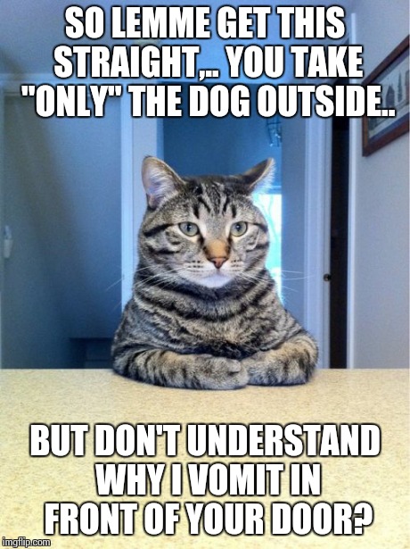 Take A Seat Cat | SO LEMME GET THIS STRAIGHT,.. YOU TAKE "ONLY" THE DOG OUTSIDE.. BUT DON'T UNDERSTAND WHY I VOMIT IN FRONT OF YOUR DOOR? | image tagged in memes,take a seat cat | made w/ Imgflip meme maker