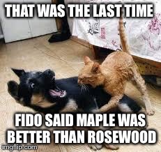 Cat Dog Fight | THAT WAS THE LAST TIME FIDO SAID MAPLE WAS BETTER THAN ROSEWOOD | image tagged in cat dog fight | made w/ Imgflip meme maker