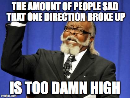 Too Damn High Meme | THE AMOUNT OF PEOPLE SAD THAT ONE DIRECTION BROKE UP IS TOO DAMN HIGH | image tagged in memes,too damn high | made w/ Imgflip meme maker