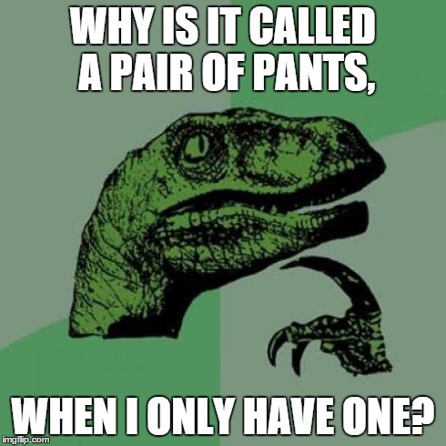 Philosoraptor Meme | WHY IS IT CALLED A PAIR OF PANTS, WHEN I ONLY HAVE ONE? | image tagged in memes,philosoraptor | made w/ Imgflip meme maker