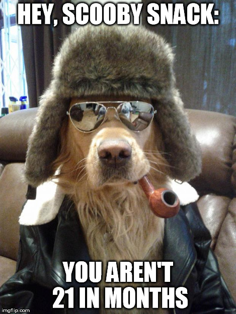 Napalm Dog | HEY, SCOOBY SNACK: YOU AREN'T 21 IN MONTHS | image tagged in napalm dog | made w/ Imgflip meme maker