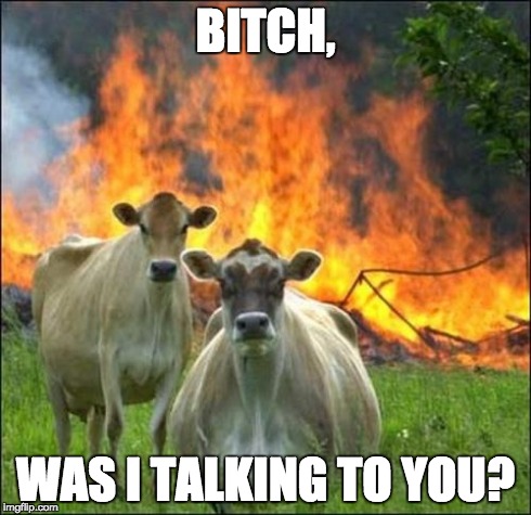Evil Cows Meme | B**CH, WAS I TALKING TO YOU? | image tagged in memes,evil cows | made w/ Imgflip meme maker