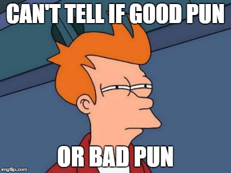 Futurama Fry Meme | CAN'T TELL IF GOOD PUN OR BAD PUN | image tagged in memes,futurama fry | made w/ Imgflip meme maker