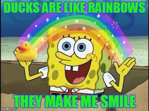 Rainbow Spongebob | DUCKS ARE LIKE RAINBOWS THEY MAKE ME SMILE | image tagged in rainbow spongebob | made w/ Imgflip meme maker