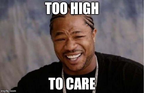 Yo Dawg Heard You Meme | TOO HIGH TO CARE | image tagged in memes,yo dawg heard you | made w/ Imgflip meme maker