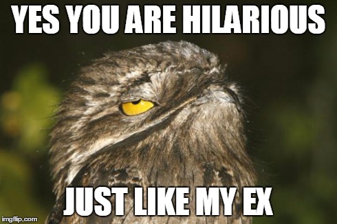 YES YOU ARE HILARIOUS JUST LIKE MY EX | image tagged in potoo heard it all before | made w/ Imgflip meme maker