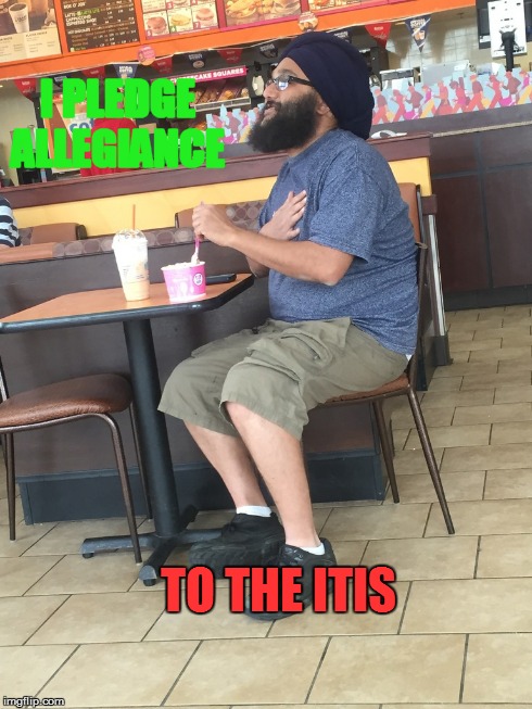 I PLEDGE ALLEGIANCE TO THE ITIS | image tagged in itis | made w/ Imgflip meme maker