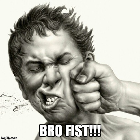 BRO FIST!!! | image tagged in funny | made w/ Imgflip meme maker