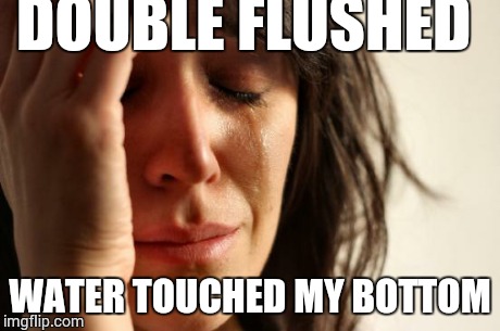 First World Problems | DOUBLE FLUSHED WATER TOUCHED MY BOTTOM | image tagged in memes,first world problems | made w/ Imgflip meme maker