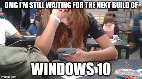 WIndows 10 | OMG I'M STILL WAITING FOR THE NEXT BUILD OF WINDOWS 10 | image tagged in windows 10,windows,the struggle,animals,music,bored | made w/ Imgflip meme maker