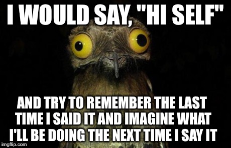 It's like my present self was communicating with my past and future selves. It's surprisingly addicting. | I WOULD SAY, "HI SELF" AND TRY TO REMEMBER THE LAST TIME I SAID IT AND IMAGINE WHAT I'LL BE DOING THE NEXT TIME I SAY IT | image tagged in memes,weird stuff i do potoo,past,magic | made w/ Imgflip meme maker
