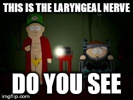 THIS IS THE LARYNGEAL NERVE DO YOU SEE | image tagged in AdviceAtheists | made w/ Imgflip meme maker
