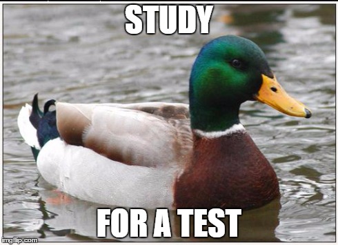 Actual Advice Mallard | STUDY FOR A TEST | image tagged in memes,actual advice mallard | made w/ Imgflip meme maker