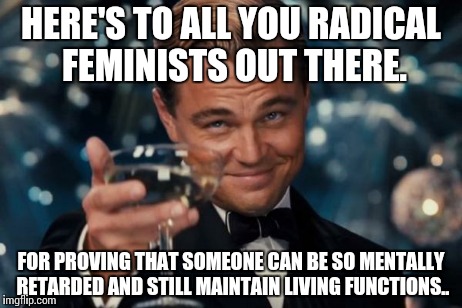 Leonardo Dicaprio Cheers Meme | HERE'S TO ALL YOU RADICAL FEMINISTS OUT THERE. FOR PROVING THAT SOMEONE CAN BE SO MENTALLY RETARDED AND STILL MAINTAIN LIVING FUNCTIONS.. | image tagged in memes,leonardo dicaprio cheers | made w/ Imgflip meme maker