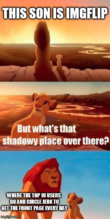 Simba Shadowy Place | THIS SON IS IMGFLIP WHERE THE TOP 10 USERS GO AND CIRCLE JERK TO GET THE FRONT PAGE EVERY DAY | image tagged in memes,simba shadowy place | made w/ Imgflip meme maker