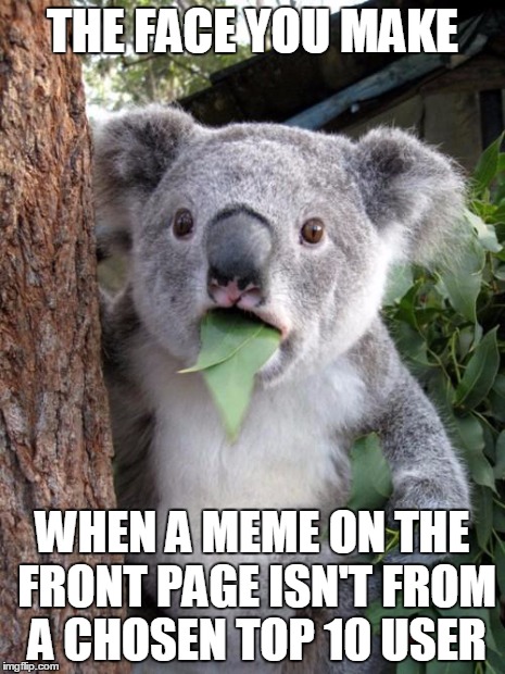 Surprised Koala | THE FACE YOU MAKE WHEN A MEME ON THE FRONT PAGE ISN'T FROM A CHOSEN TOP 10 USER | image tagged in memes,surprised koala | made w/ Imgflip meme maker