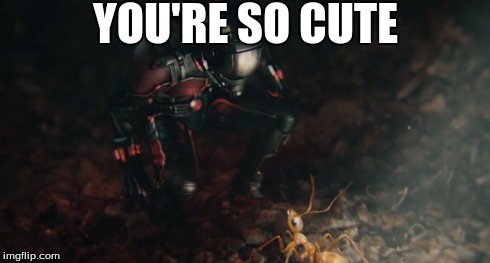 ant-man | YOU'RE SO CUTE | image tagged in antman,marvel,ant,pym,memes,cute | made w/ Imgflip meme maker