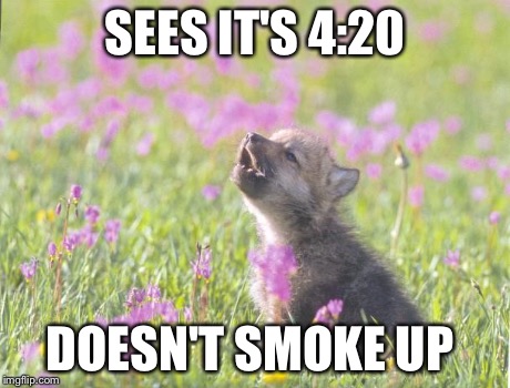 Baby Insanity Wolf | SEES IT'S 4:20 DOESN'T SMOKE UP | image tagged in memes,baby insanity wolf,AdviceAnimals | made w/ Imgflip meme maker