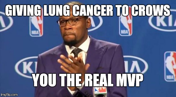 You The Real MVP Meme | GIVING LUNG CANCER TO CROWS YOU THE REAL MVP | image tagged in memes,you the real mvp | made w/ Imgflip meme maker