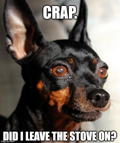 Forgetful minpin. | CRAP. DID I LEAVE THE STOVE ON? | image tagged in miniature,pinscher,dog,forget,crap,template | made w/ Imgflip meme maker