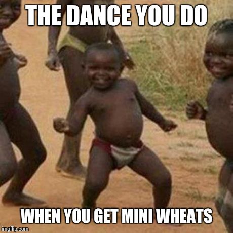 Third World Success Kid | THE DANCE YOU DO WHEN YOU GET MINI WHEATS | image tagged in memes,third world success kid | made w/ Imgflip meme maker
