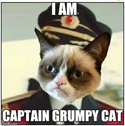 I AM CAPTAIN GRUMPY CAT | image tagged in captain obvious,grumpy cat | made w/ Imgflip meme maker