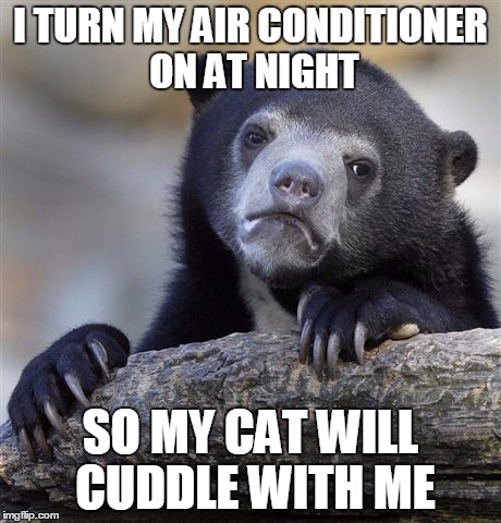 Confession Bear | I TURN MY AIR CONDITIONER ON AT NIGHT SO MY CAT WILL CUDDLE WITH ME | image tagged in memes,confession bear,AdviceAnimals | made w/ Imgflip meme maker